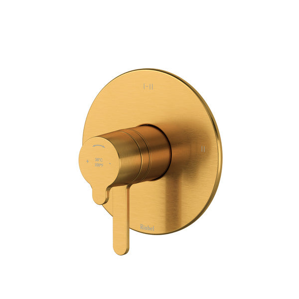 Modern gold faucet handle with circular plate