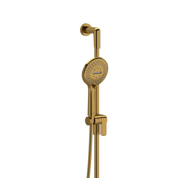 Gold handheld showerhead with adjustable settings