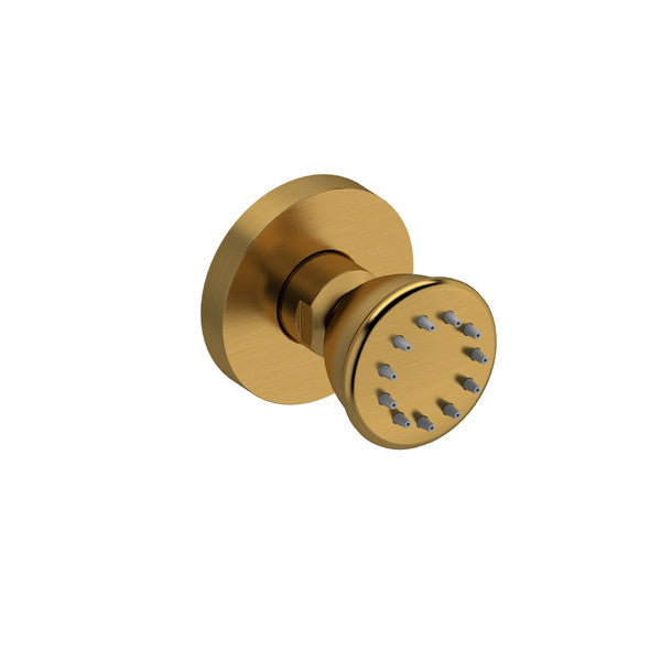 Close-up of a gold showerhead with multiple spray nozzles.