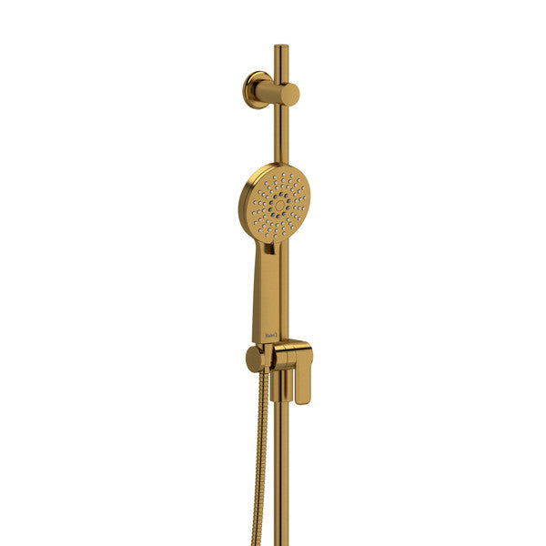 Modern gold showerhead with adjustable height and handheld feature
