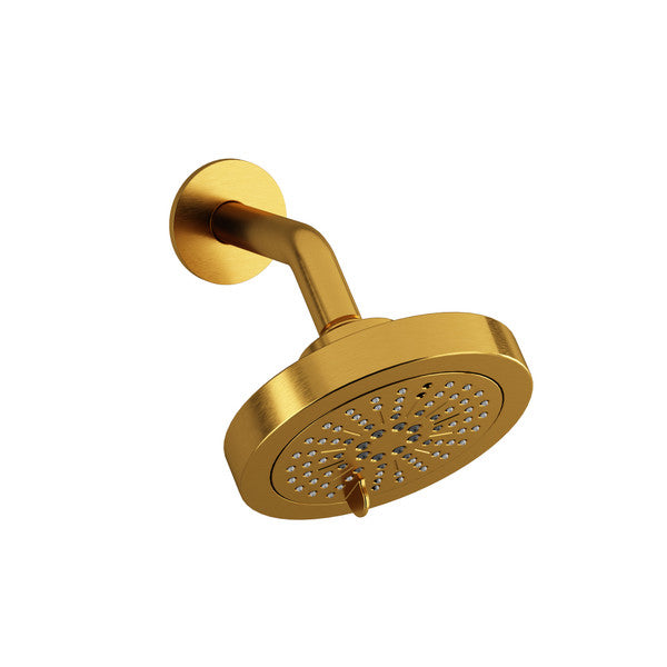 Gold showerhead mounted on the wall