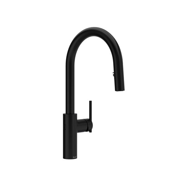Black kitchen faucet with a tall, curved spout